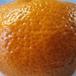 چگونه پوست پرتقال گیاهان داخلی را از شپشک ها نجات می دهد: سد مرکبات برای حشرات unnamed-file.jpg