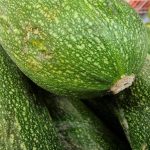 چرا باغبانان شایسته برای برداشت کدو سبز عجله ندارند: هنر توقف در زمان unnamed-file.jpg