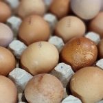 نحوه درست هم زدن سفیده تخم مرغ: نقطه ای که بعد از آن به جای ابر تبدیل به گرد و غبار می شود unnamed-file.jpg