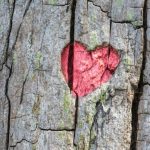 چرا مرزهای شخصی در یک زوج مورد نیاز است: اگر عشق ادغام در یک ارگانیسم نیست unnamed-file.jpg